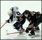 Bleskov� Brad