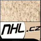�l�nek o Lightning na NHL.cz